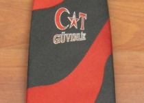 Logolu Şirket Kravatı 8
